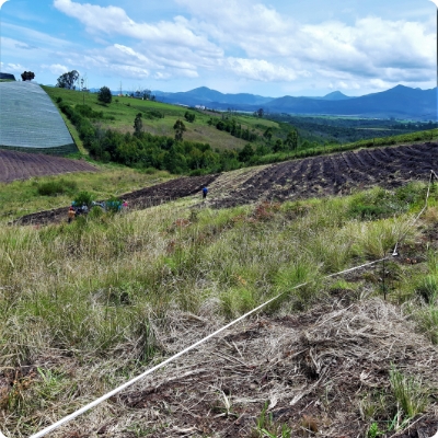 Greenfire Enviro - Forestry and Environmental Consulting