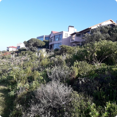 Greenfire Enviro - Forestry and Environmental Consulting