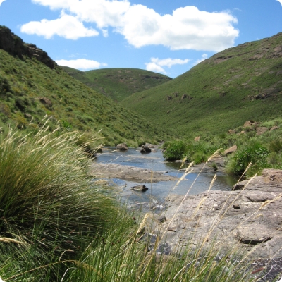 Greenfire Enviro - Forestry and Environmental Consulting