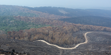 Fire investigations and fire litigation support